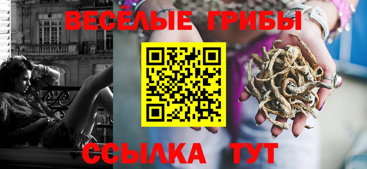 Псилоцибиновые грибы GOLDEN TEACHER Кисловодск